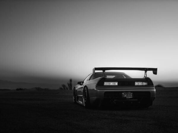 Solitary Pursuit