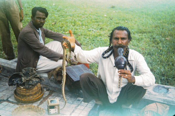 Snake Charmers’ Serenade