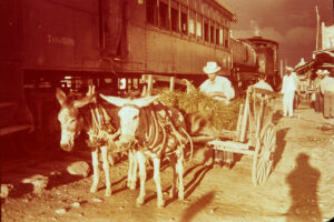 Frontier Passage