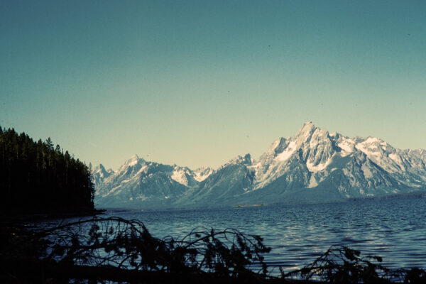Tranquil Majesty