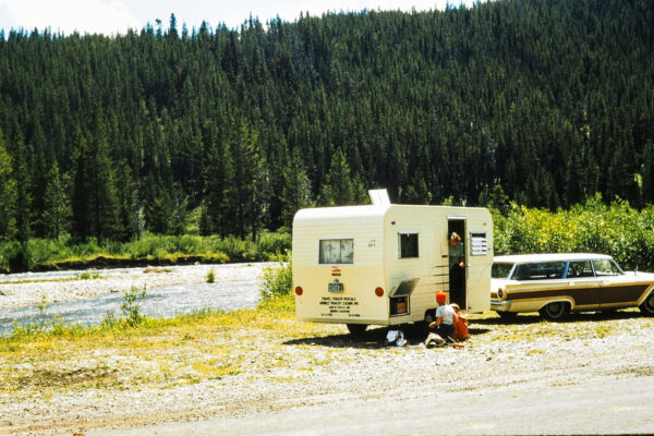 Refuge in the Pines