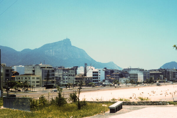 Urban Oasis by the Bay