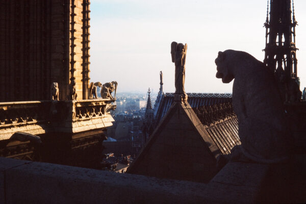 Gothic Silhouettes of Notre-Dame