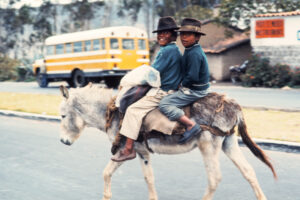 Burros and Boys