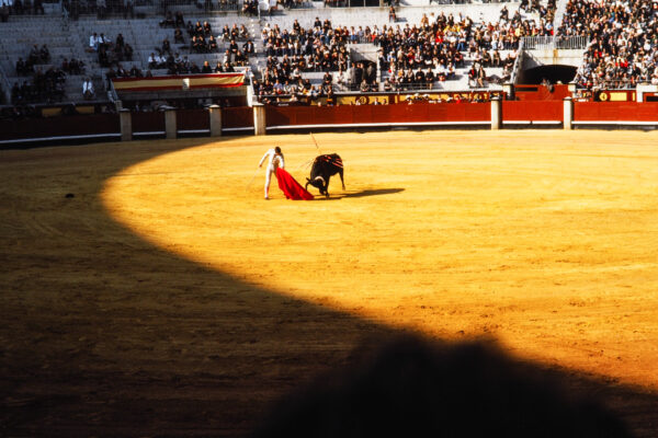 Moment in the Arena
